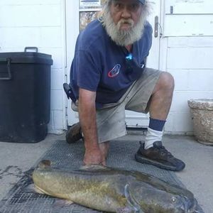 Meet your Posher, Ted